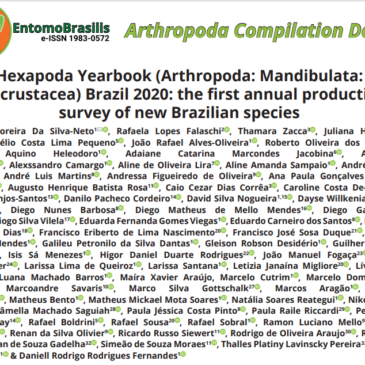 Primeiro levantamento anual de publicações de novas espécies de Hexapoda brasileiras conta com dois autores do Museu Nacional