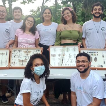 Os insetos invadem a Casa da Ciência-UFRJ e trazem ainda mais cores à exposição “Futuros da Baía de Guanabara – inovação e democracia climática”